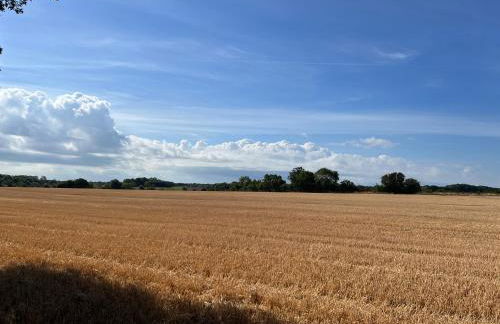 The Old Stable at Manor House, Middleton - Foto 31