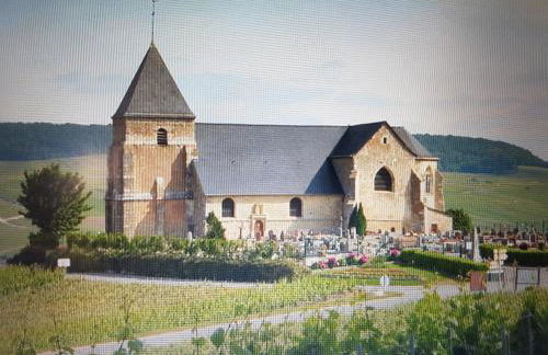 Chavot Bellevue - Foto 47