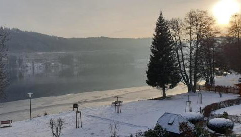 Friedolin im Bärenhüsli - Foto 4