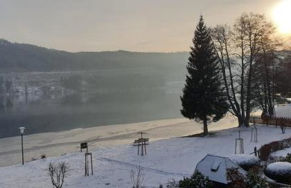 Friedolin im Bärenhüsli - Photo 4