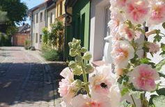 Ferienwohnung Hafenpanorama Speicherresidenz Barth 4 5 - Photo 46