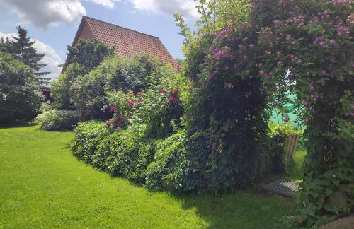 Kleiner Bauernhof in Ostseenähe - ganze Ferienwohnung mit 2 Zimmern - Foto 10