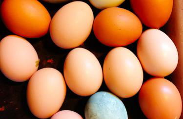 Arrowhead Country Cabins - Foto 48