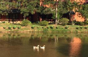 Teresopolis Duplex Green Valley - Photo 62