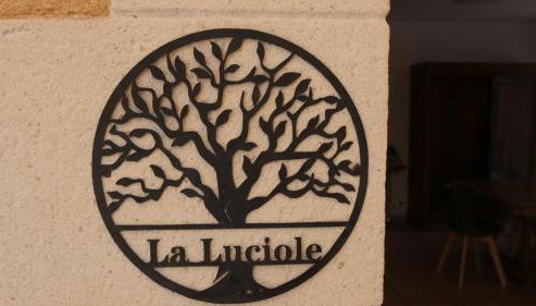 Luciole des Alpilles - Foto 4