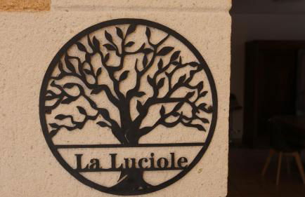 Luciole des Alpilles - Foto 4