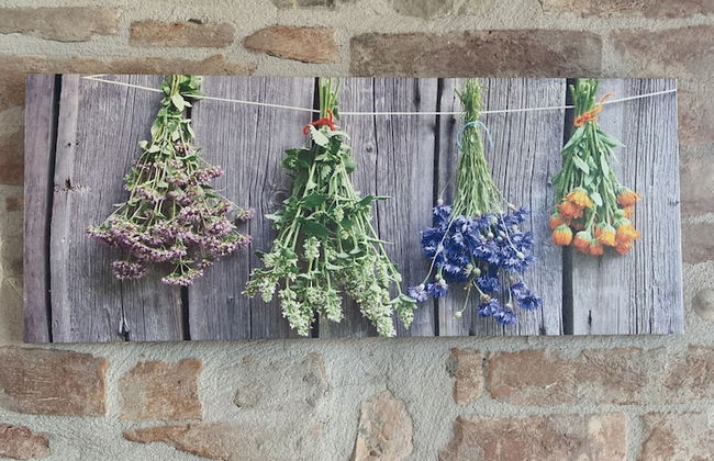 Tenuta di Cascina Diavolo dei Boschi - Foto 12