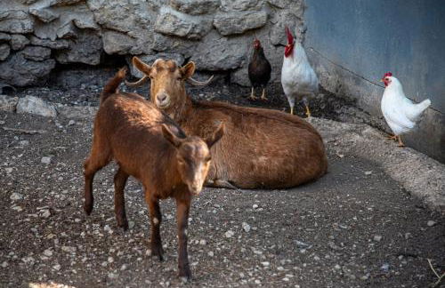 El Sosiego - Foto 31