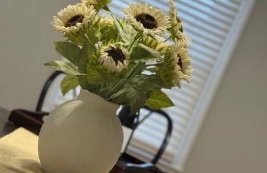 Winston Salem Gem Convenient 4 Bedroom and 2 baths - Foto 10