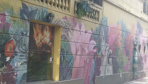 Tour de arte urbano por Palermo - Foto 4