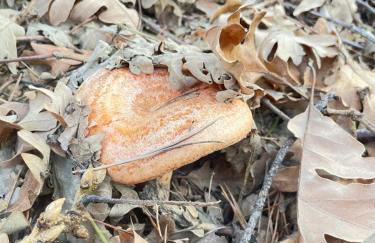 Apartamento Marcajada - Foto 41