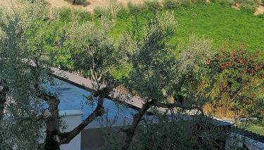 Cantina Loft - Foto 3