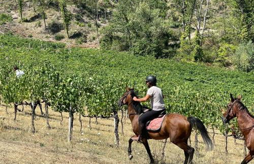 La Ghirlanda Wine Resort - Foto 35