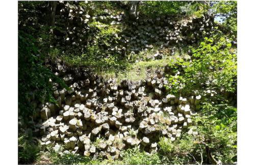 Holiday apartment in Rhön with 1 bedroom - Foto 16