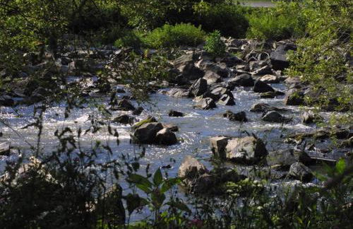 Apartment Chalet Wiedfluh in Waldbreitbach by Interhome - Foto 33