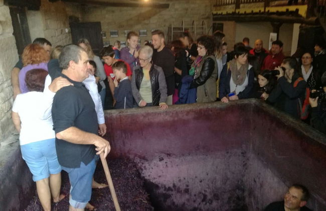 Casa Rural Villa Liquidambar - Foto 56