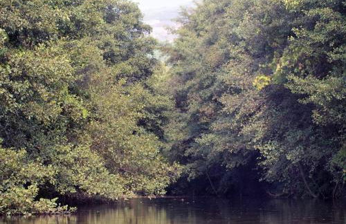 Casa do Vale de Cerva - Foto 30