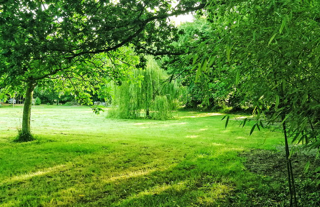 La Gicquelière - Foto 50