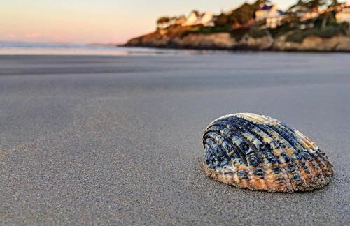Penty Ty Gwen (Cap de la Chèvre) - Photo 73