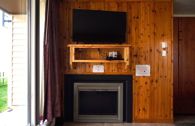 Multi Resorts at Bear Lake - Photo 22