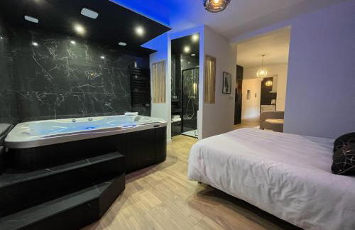 CK Suite & Spa Reims - Foto 28