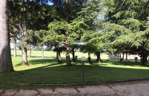 Agriturismo Valle Martina - Photo 58