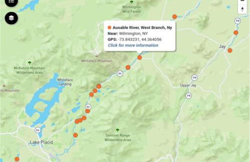 Cozy Cabin near Lake Placid, Whiteface-King, Ice Barrel, Hot Tub - Foto 63