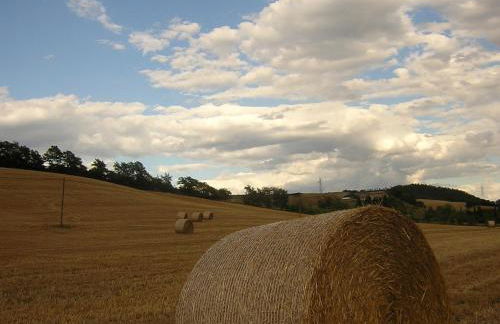 Agriturismo Le Spighe - Foto 18
