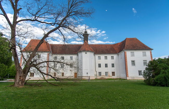 Holiday House Vilana With Jacuzzi - Foto 26