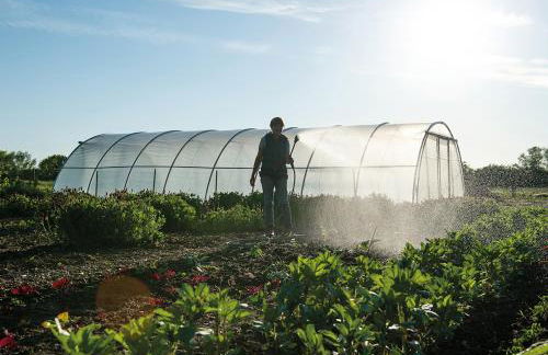 FELDGANG ein Gästehaus! - Foto 26