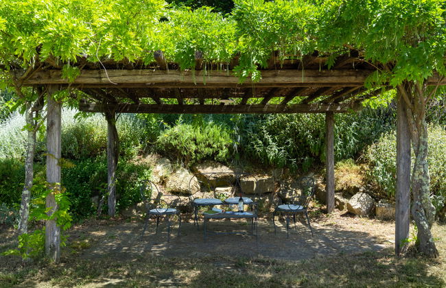 Cafaggio di Sopra - Photo 33