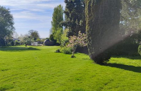 GÎTE Les Cigognes N0ires - Foto 37