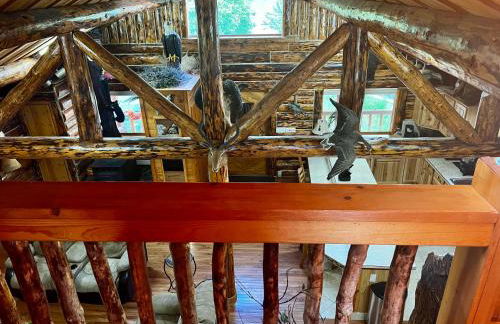 Indian AK 25 min to Anchorage & 25 min to Girdwood - Foto 44