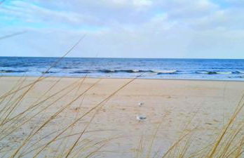 MEERerholung - Foto 29