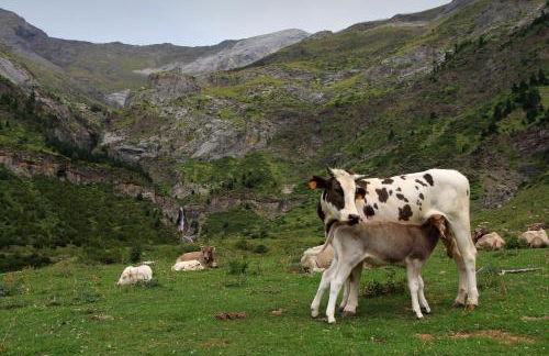 Puerta de Ordesa Garden - Photo 9