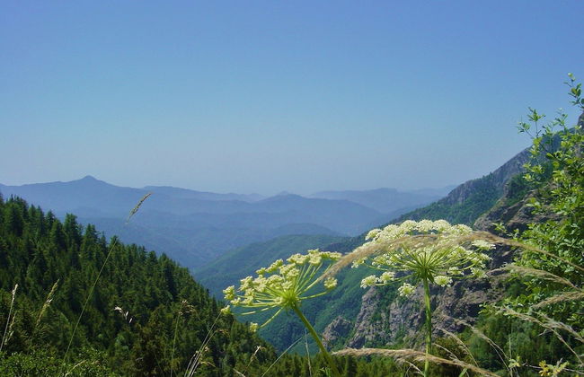 Agriturismo Al Pagan - Foto 36