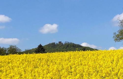 Ferienhaus Marlen - Foto 24