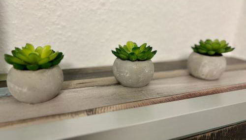 Auszeit am Rhein 1 - Rhinelove - Foto 5