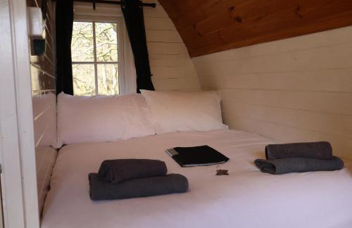 Ash Cabin with Hot Tub - Foto 9