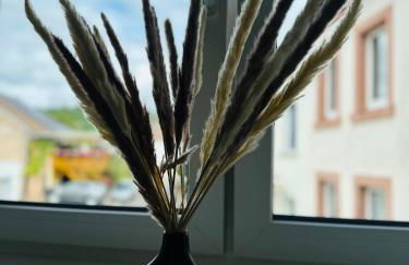 Große 2 Ferienwohnung Gästehaus NEUBAU Merzig 100 m2 - Photo 51