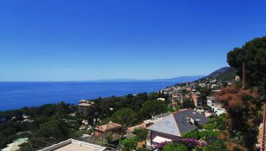 MareNostrum - Photo 5