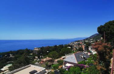 MareNostrum - Photo 5