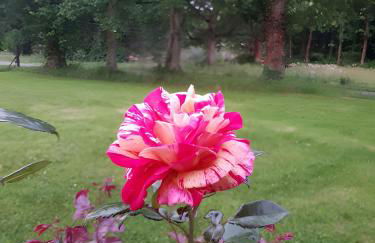 Au Bonheur de la Baie - Four à Pain - Foto 13