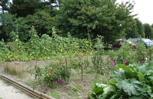 Gîte calme près de Meung-sur-Loire avec jardin et terrasse - FR-1-590-537 - Photo 23