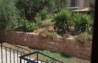 Oliveto e mare - Foto 24