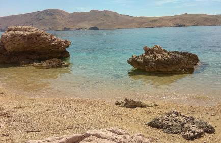 Sunny Bi-Pi Apartment - Photo 8