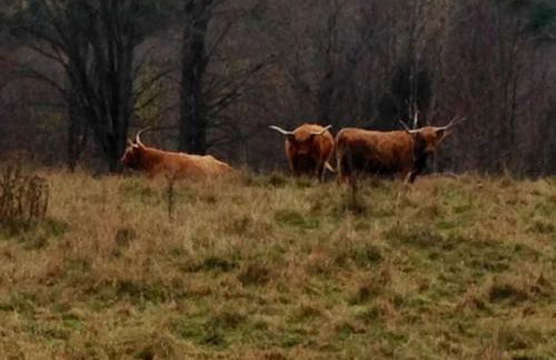 Sadawga Springs Retreat - Foto 34