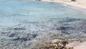 Apartamento en la playa con piscina - Foto 3