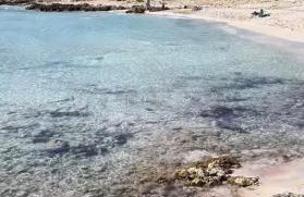 Apartamento en la playa con piscina - Foto 3