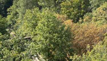 Appartement Zum Leuktal - Foto 3